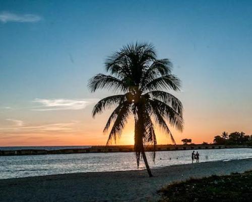 Villa turística Playa Girón: sol, playa, flora y fauna… ¡la vida!